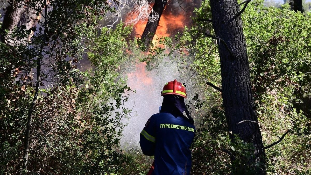 Φωτιά τώρα στον Πρόδρομο Αιτωλοακαρνανίας