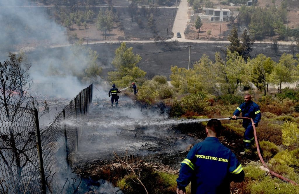 Φωτιές στην Αττική: Άνοιξε η πλατφόρμα arogi.gov.gr για την πρώτη αρωγή για τους πληγέντες