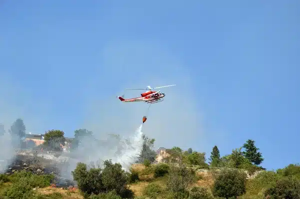 Φωτιά σε δασική έκταση στο Άγιο Όρος - Σηκώθηκαν και εναέρια μέσα