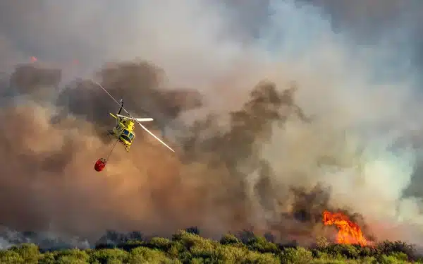 Πολύ υψηλός κίνδυνος πυρκαγιάς για αύριο 14/9 - Ποιες περιοχές βρίσκονται στο "πορτοκαλί"