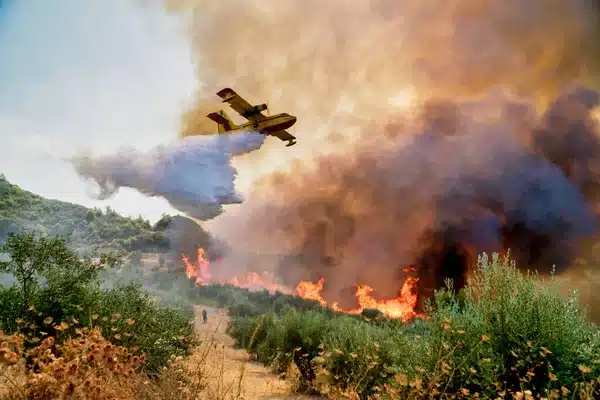 Φωτιά Αττική – Κατασκηνώσεις Αγίου Ανδρέα: Αναβάλλεται η άφιξη παιδιών