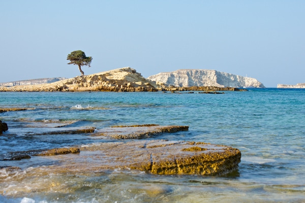 Το Μονοδένδρι είναι το απόλυτο highlight του νησιού