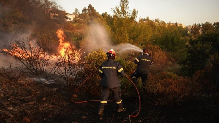 Φωτιά σε δασική έκταση στο Μαρτίνο