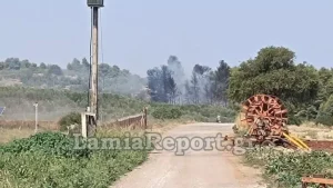 Φωτιά τώρα στη Φθιώτιδα - Υψηλού κινδύνου το μέτωπο που καίει σε δασική έκταση