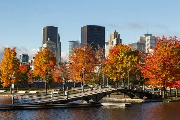 depositphotos 123296464 stock photo autumn montreal skyline