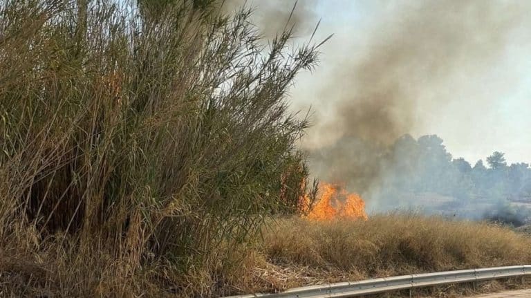 Πυρκαγιά στα Λουκίσσια Χαλκίδας- Καίει δίπλα από κτήμα δεξιώσεων