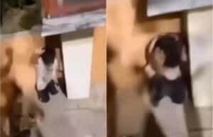 Κομοτηνή: Παρέμβαση Αδειλίνη για την τρομοκράτηση ανηλίκου