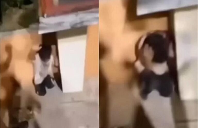 Κομοτηνή: Παρέμβαση Αδειλίνη για την τρομοκράτηση ανηλίκου