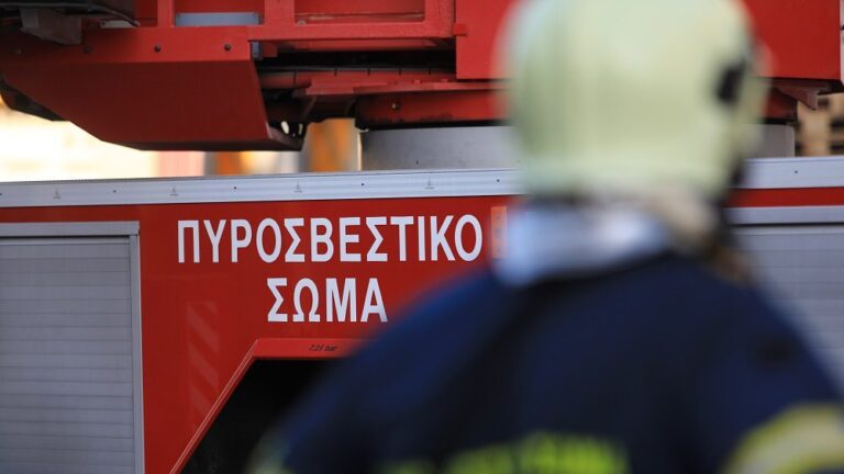 Άνδρος: Μεγάλη πυρκαγιά σε αγροτοδασική έκταση