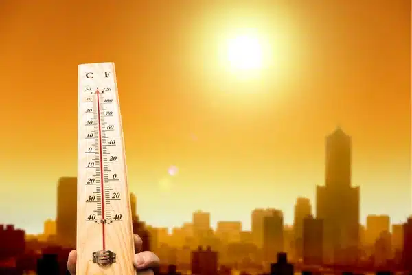 Ο Ιανουάριος του 2025 έσπασε κάθε ρεκόρ ζέστης!