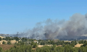 Σε ύφεση η φωτιά στον Βαρνάβα Αττικής