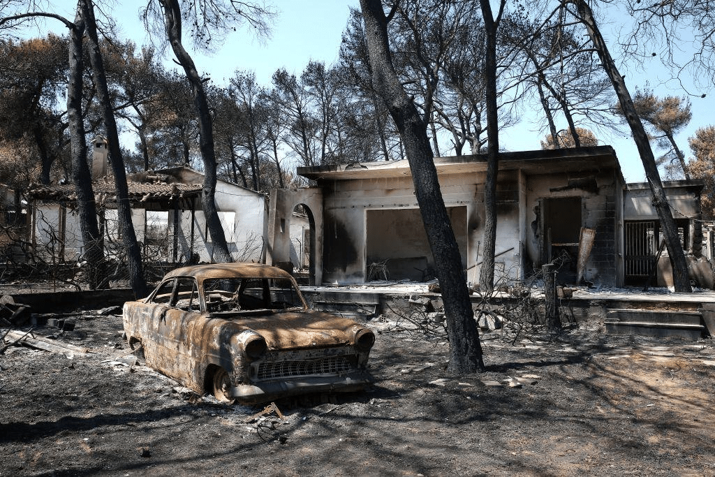 Καμμένο τοπίο μετά την πυρκαγιά στο Μάτι το 2018.