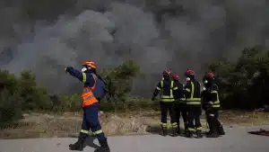 Φωτιά τώρα στη Λαμία – Δίπλα στην Εθνική Οδό