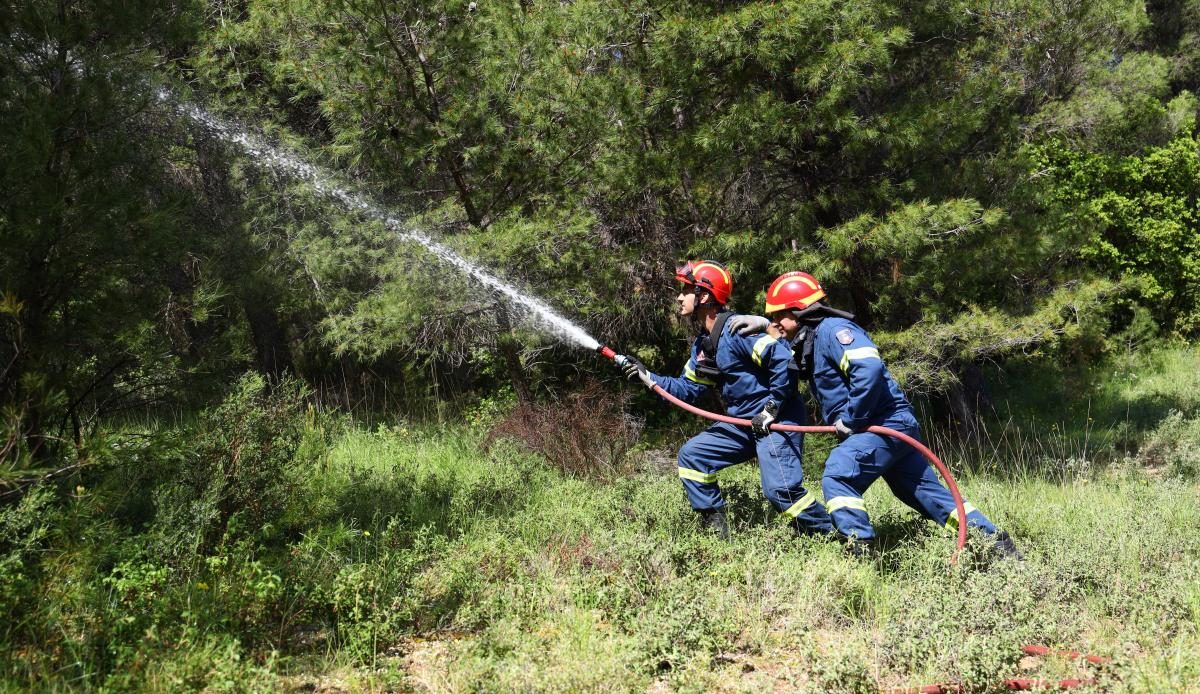 Μεγάλη φωτιά στη Βοιωτία – Συναγερμός στην Πυροσβεστική