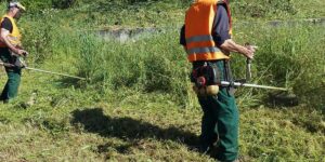 Ακαθάριστα Οικόπεδα 2025: Παράταση στις δηλώσεις