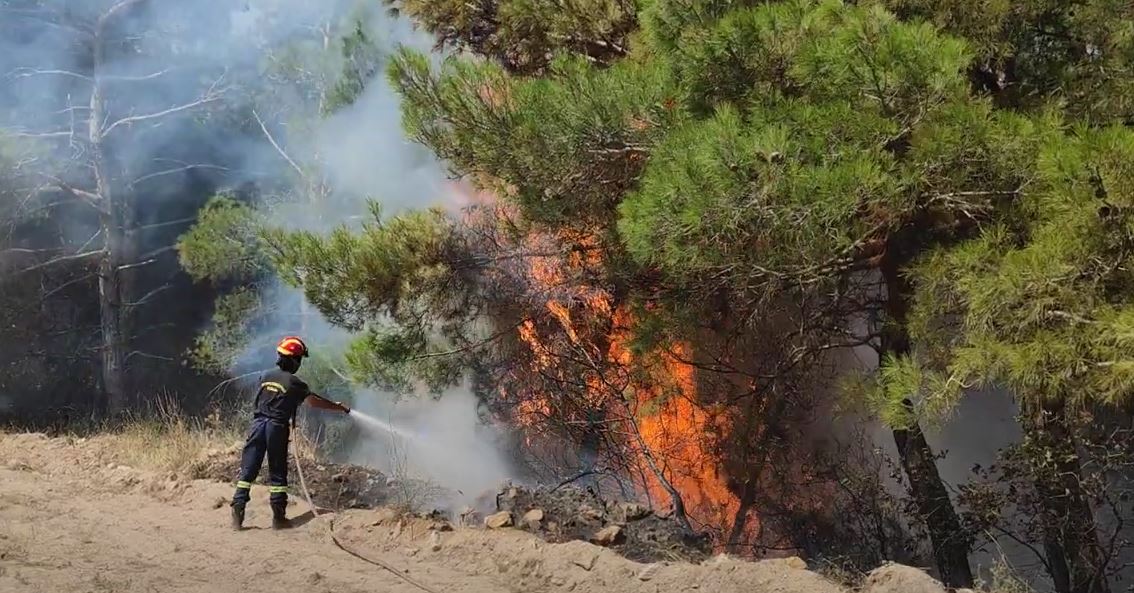 Μεγάλη φωτιά στη Λάρισα - Άμεση κινητοποίηση της Πυροσβεστικής