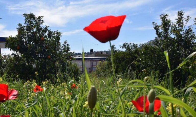 Καλοκαίρι πριν την Πρωτομαγιά: Πότε έρχεται η ανατροπή με βροχές