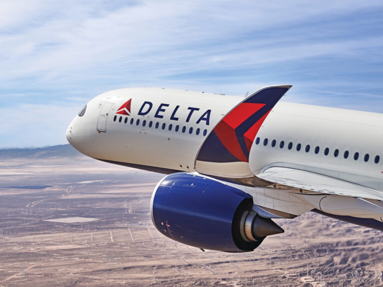 Χάος σε πτήση της Delta λόγω… περιστεριών- Δείτε το βίντεο