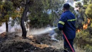 ΑΣΕΠ: 422 προσλήψεις σε 18 φορείς με απολυτήριο Γυμνασίου