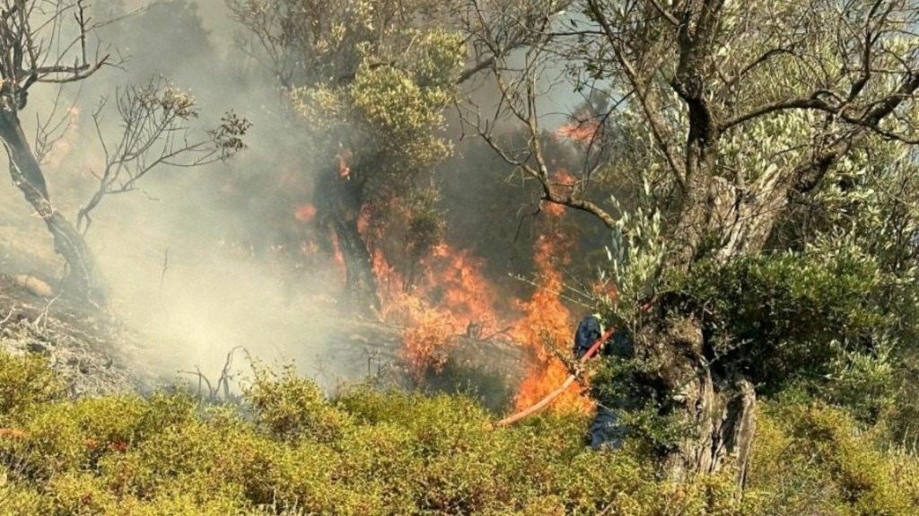 Φωτιά στο Χαλάνδρι – Σηκώθηκαν και εναέρια μέσα