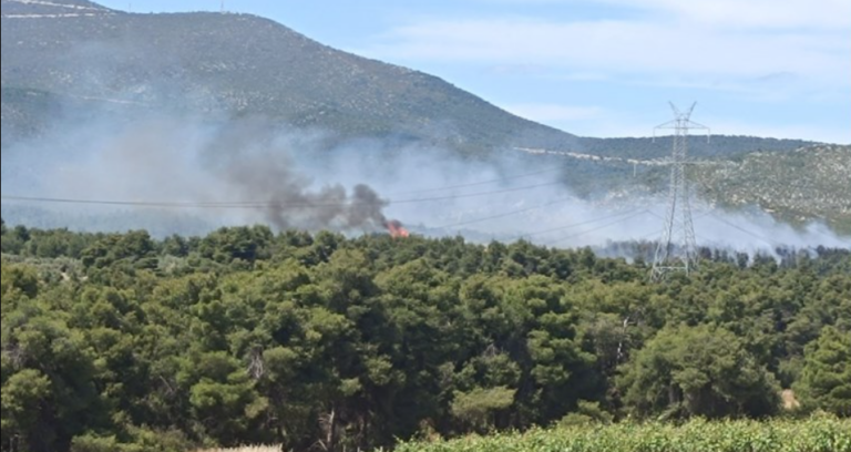 Φωτιά στη Ριτσώνα: Σε ύφεση το μέτωπο – Συνελήφθη άνδρας