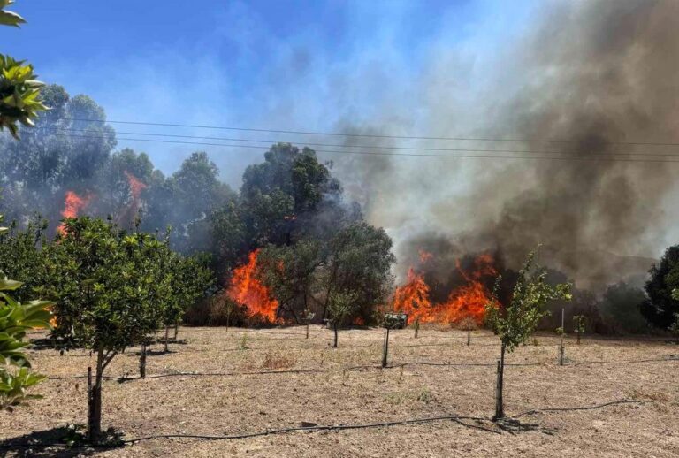 Μαρκόπουλο: Μαίνεται η φωτιά – Ενισχύθηκαν οι πυροσβεστικές δυνάμεις