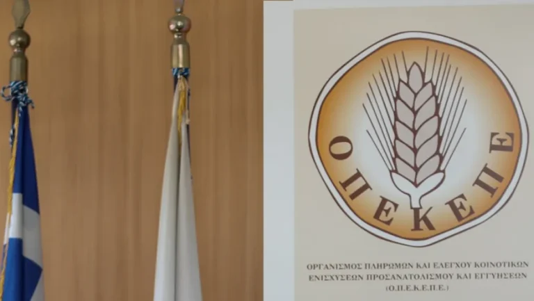ΟΠΕΚΕΠΕ: Μεγάλη πληρωμή σε αγρότες – Αναλυτικά τα ποσά