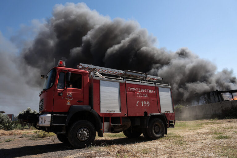 Φωτιά τώρα σε δασική έκταση στη Χλόη Ροδόπης