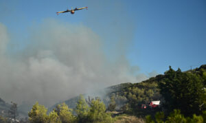 Φωτιά τώρα στον Δομοκό – Σηκώθηκαν εναέρια