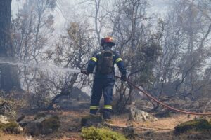 Βόλος: Συναγερμός για φωτιά κοντά στο αεροδρόμιο Νέας Αγχιάλου