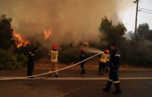 Βόλος: Φωτιά σε δύο εστίες – Συναγερμός στην Πυροσβεστική