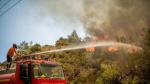 Πυρκαγιά τώρα στην Μαγνησία