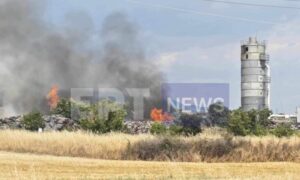 Φωτιά σε εργοστάσιο ξυλείας στο Νέο Σούλι Σερρών