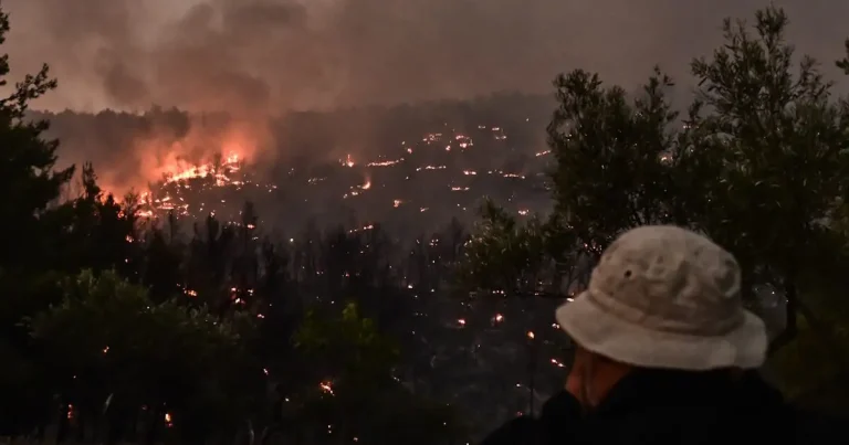 Φωτιά Ωρωπός: Σε ύφεση η πυρκαγιά, μεγάλο πλήγμα στο δάσος