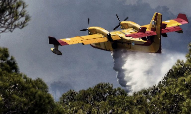 Σήμα κινδύνου για το καλοκαίρι: Ξεκίνησαν ήδη οι φωτιές και είναι ακόμα Μάρτιος!
