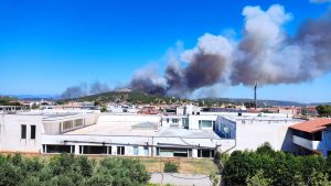 Ραφήνα: Φωτιά στην Λεωφόρο Μαραθώνος – Ήχησε το 112 για εκκένωση