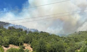 Φωτιά στη Δεσκάτη Γρεβενών: Εκκενώθηκε κατασκήνωση με 55 παιδιά