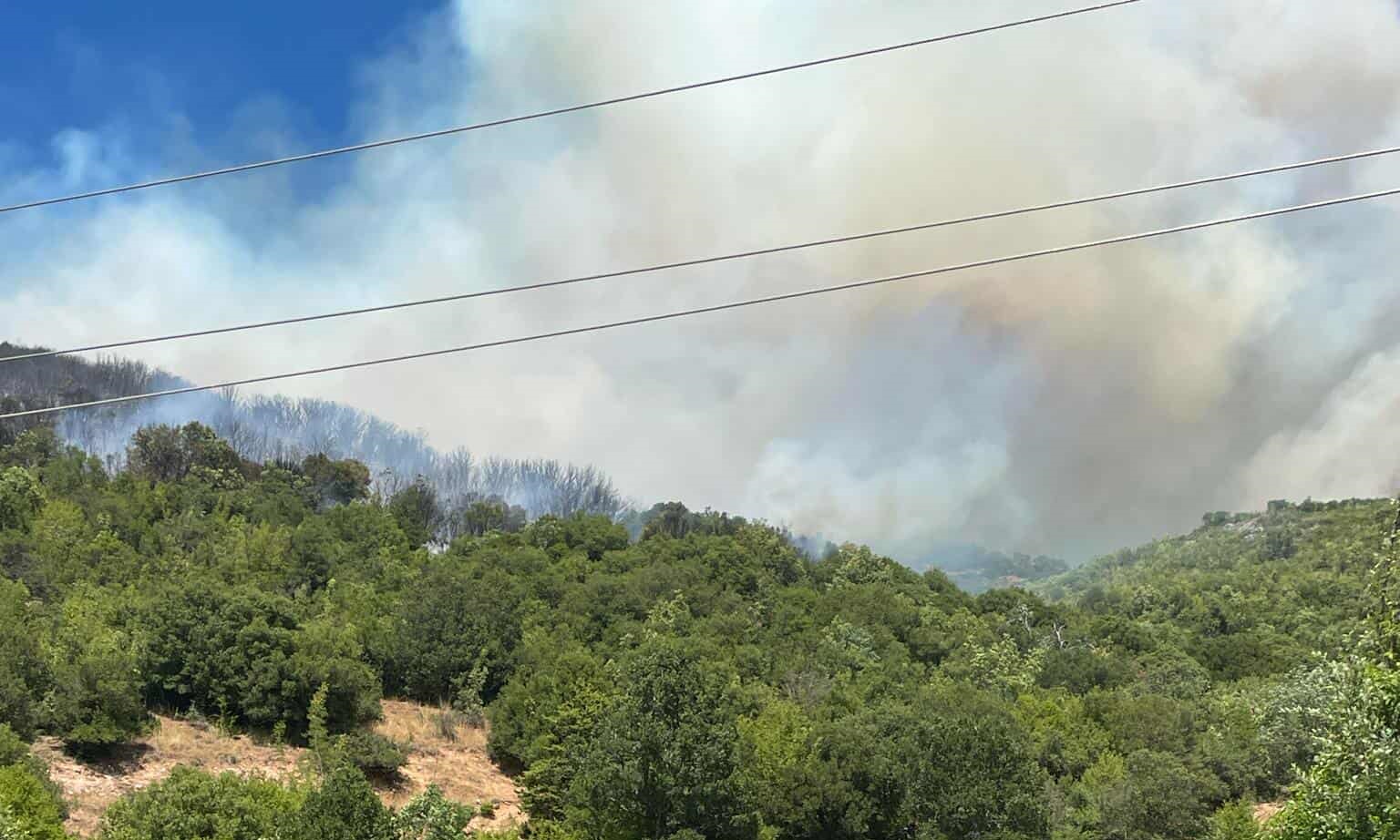Φωτιά στη Δεσκάτη Γρεβενών: Εκκενώθηκε κατασκήνωση με 55 παιδιά