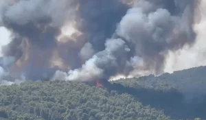 Φωτιά στη Βουρβουρού Χαλκιδικής- Ήχησε το 112