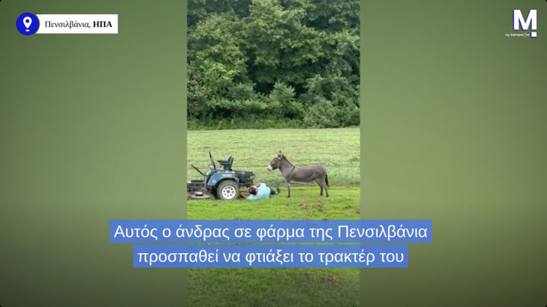 Το viral γαϊδουράκι που δεν δέχεται… όχι για απάντηση (vid)