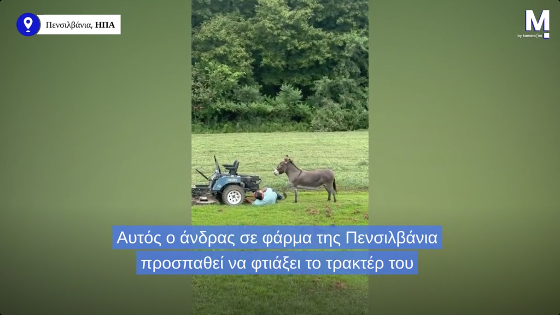 Το viral γαϊδουράκι που δεν δέχεται… όχι για απάντηση (vid)