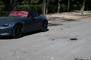Ζάππειο: Κατέληξε η 67χρονη που αυτοπυρπολήθηκε έξω από την Αίγλη