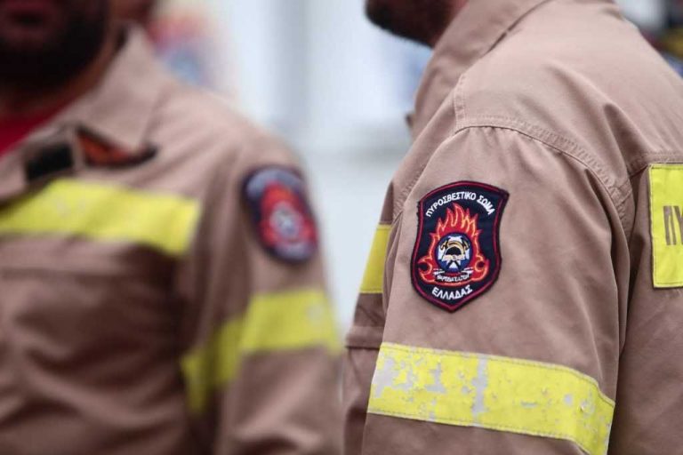 Νέες προσλήψεις σε Δασαρχεία – Θέσεις και ειδικότητες
