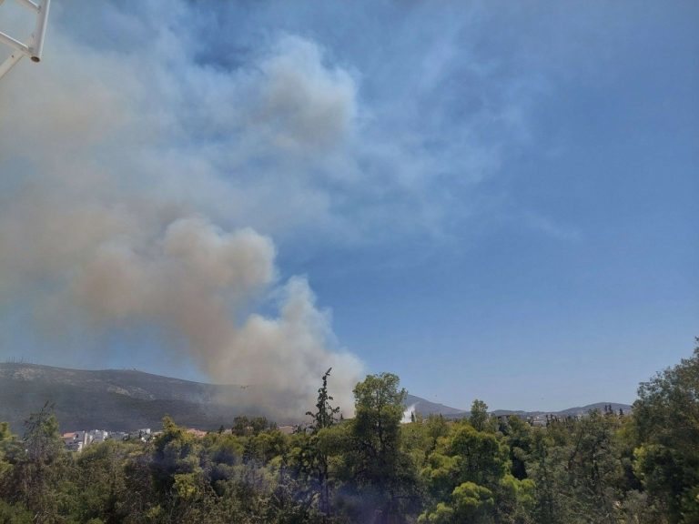 Φωτιά στο Παρανέστι Δράμας