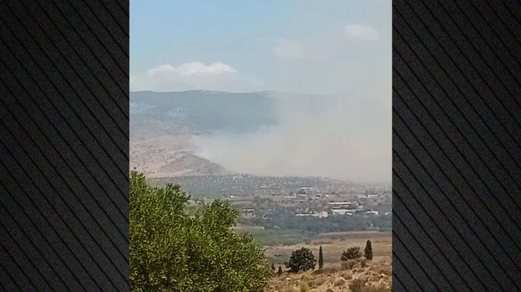Φωτιά στα Μέγαρα: Επιχειρούν ισχυρές δυνάμεις της Πυροσβεστική- Βίντεο