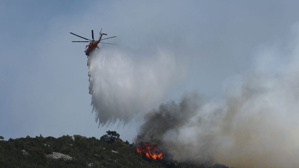 Πυρκαγιές από αμέλεια: Τέσσερις συλλήψεις σε Θεσσαλονίκη, Βοιωτία, Εύβοια και Μαγνησία – 33 φωτιές μέσα σε ένα 24ωρο