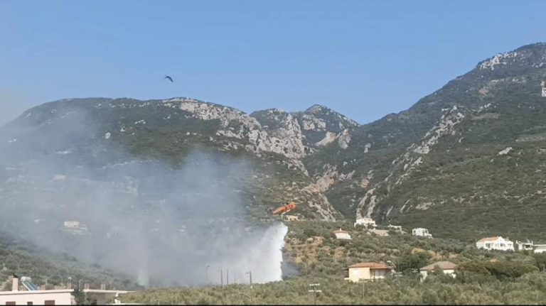 Φωτιά τώρα στην περιοχή Ριζά Μεσσηνίας