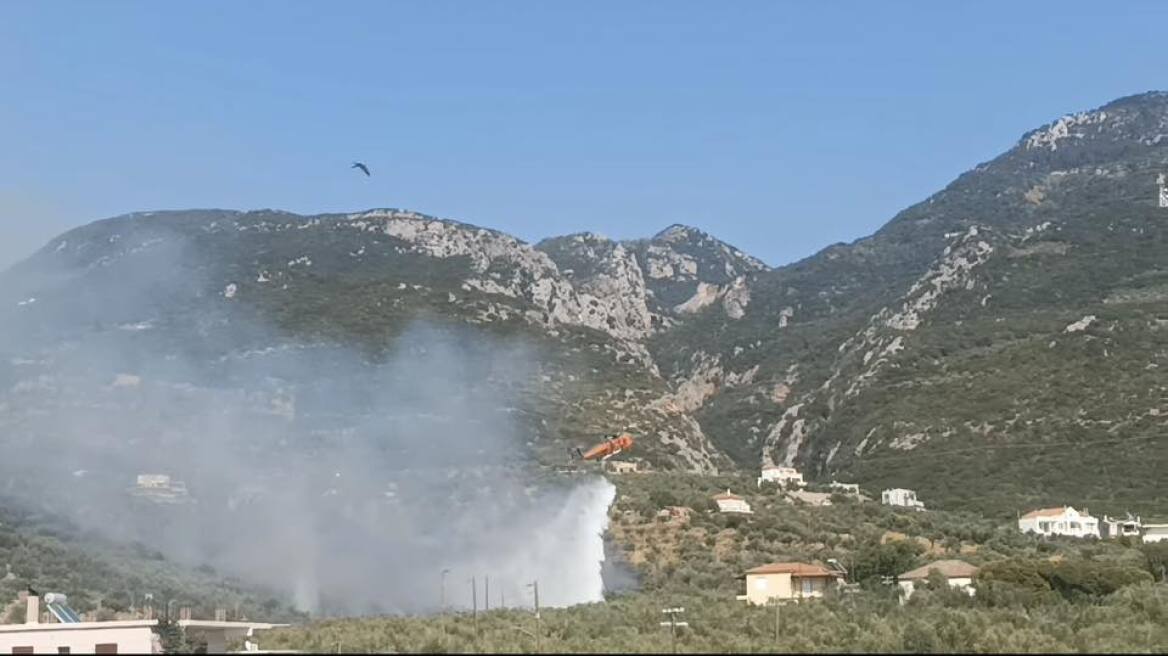Φωτιά τώρα στην περιοχή Ριζά Μεσσηνίας