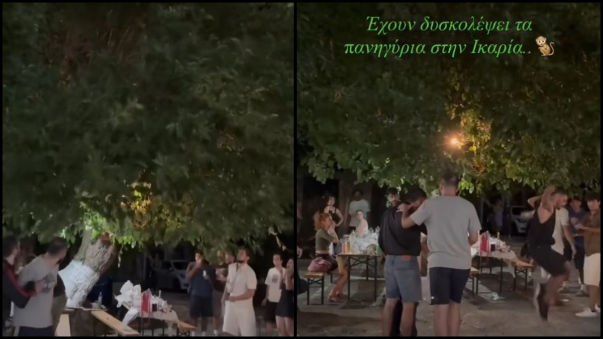 Viral στη Ικαρία: Νεαρός κατέβηκε από δέντρο σε πανηγύρι και άρχισε να χορεύει- Βίντεο