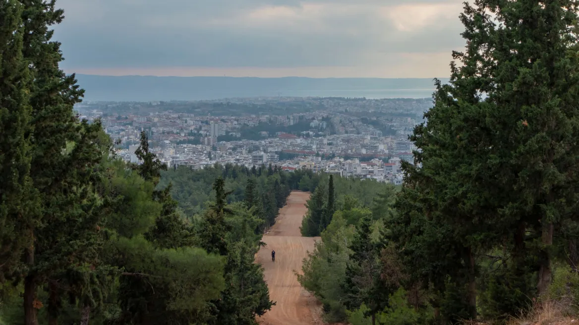 Θεσσαλονίκη: Συνελήφθη 51χρονος που έσφαξε και έγδαρε αρνί στο δάσος